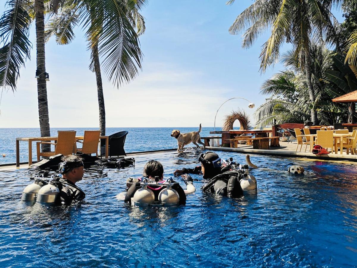 Villa Alba Bali Dive Resort Tulamben  Luaran gambar