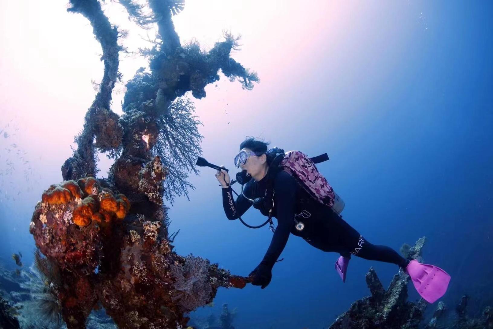 Villa Alba Bali Dive Resort Tulamben  Luaran gambar
